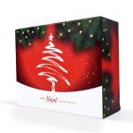 Caixa cartão micro canelado